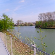 IMGP0177