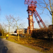 IMGP0041